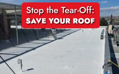 How to Avoid a Total Roof Replacement?
