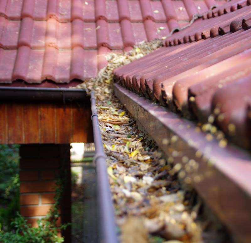 Curved clay tile roof with a brown metal gutter filled with dry leaves and debris in El Paso TX